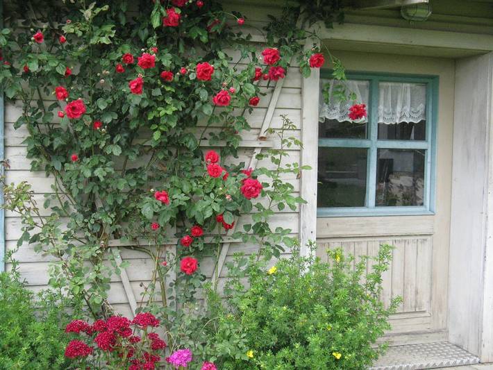 Ferienwohnung für 4 Personen, mit Balkon und Balkon/Terrasse sowie Terrasse und Garten in Landkreis Regen - 3