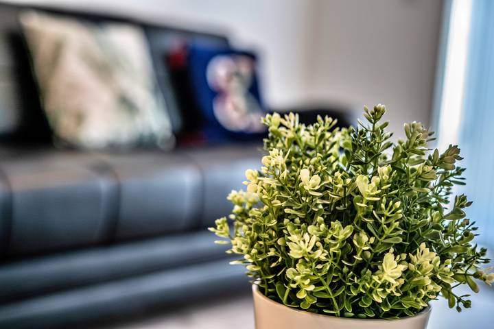 Gîte pour 3 personnes à Birmingham - 4