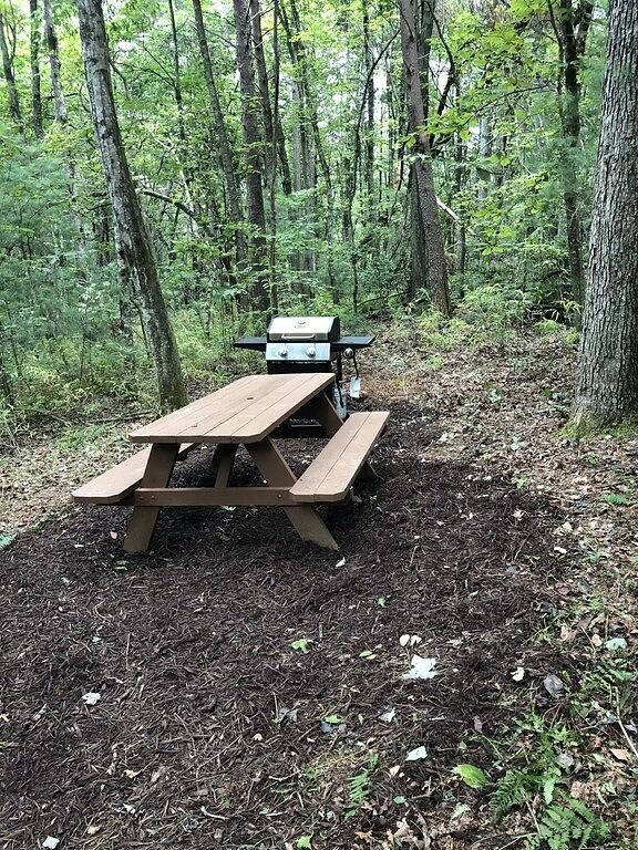 Abgelegene Berghütte, Rollstuhl / Powerchair Accessible in Chattahoochee National Forest