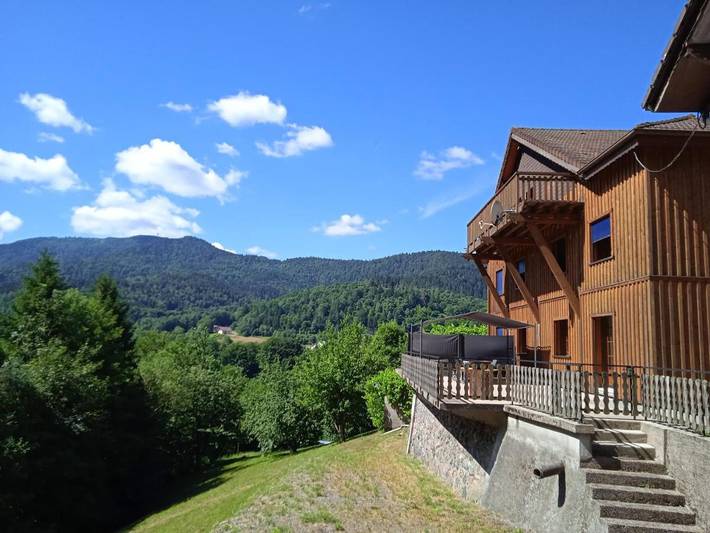 Gîte pour 12 personnes, avec terrasse et vue à Fresse-sur-Moselle - 4