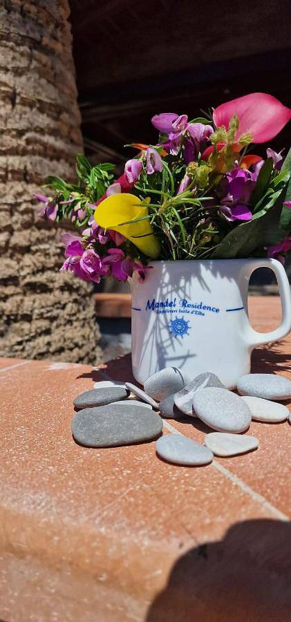 Appartamento per 5 persone, con giardino, con animali domestici a Morcone