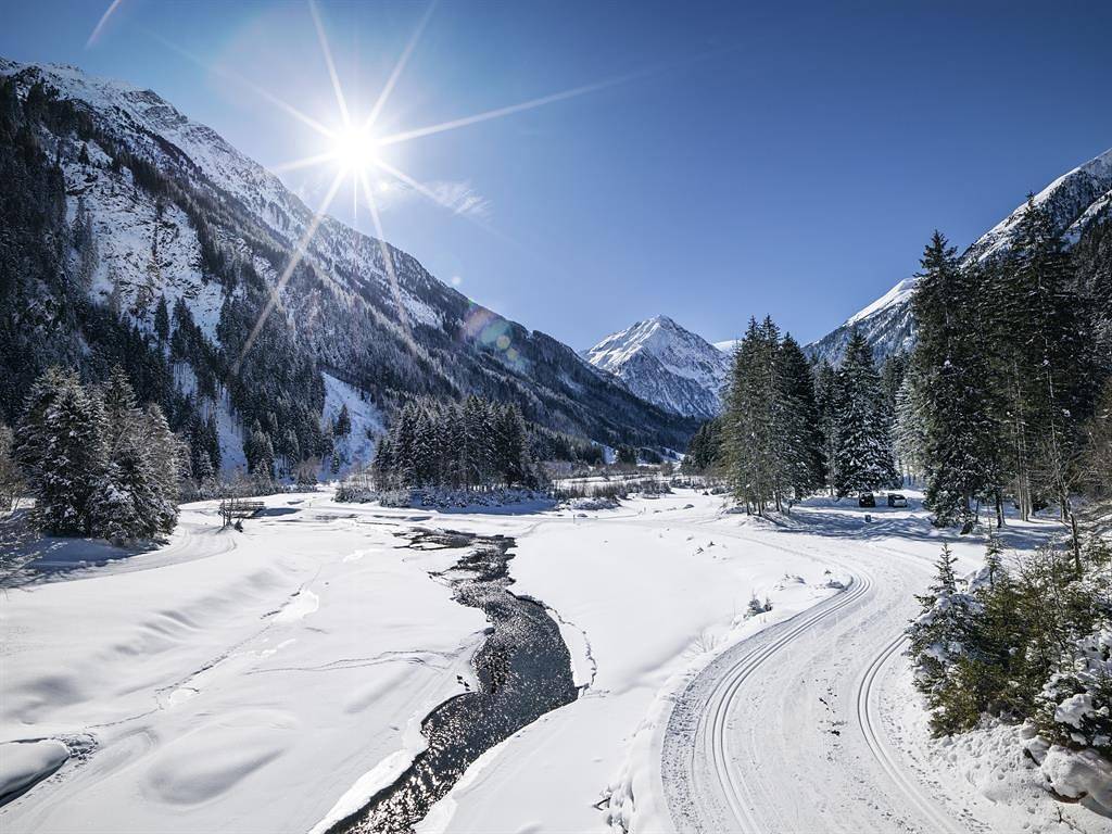 Apartamento vacacional entero, Appartement Zuckerhütl in Milders, Neustift im Stubaital