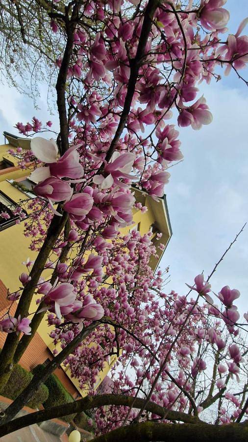 Maison d’hôte pour 3 personnes, avec jardin et vue dans Lombardie - 2
