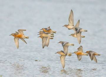 Holiday Home for 4 People in Aberdeenshire, Scotland, Photo 2