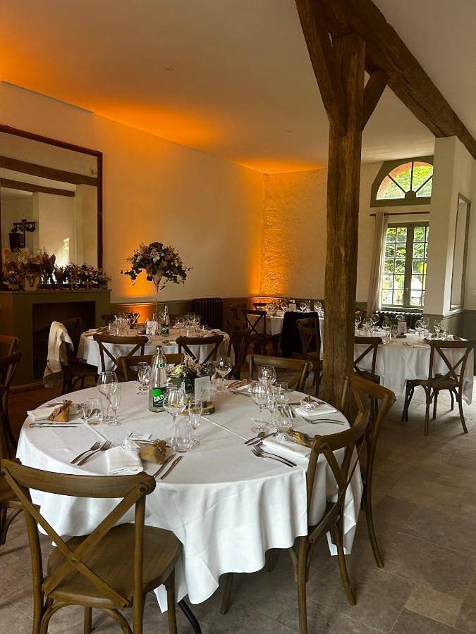 Location de vacances pour 15 personnes, animaux acceptés à La Ferté-Saint-Aubin - 3