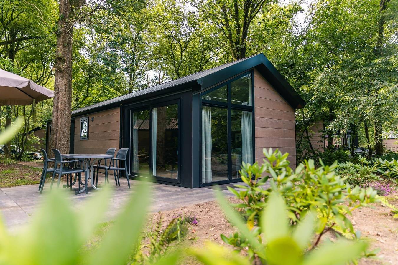 Europarcs Ruinen — Velthorst 4 in Ruinen, Parque Nacional de Dwingelderveld
