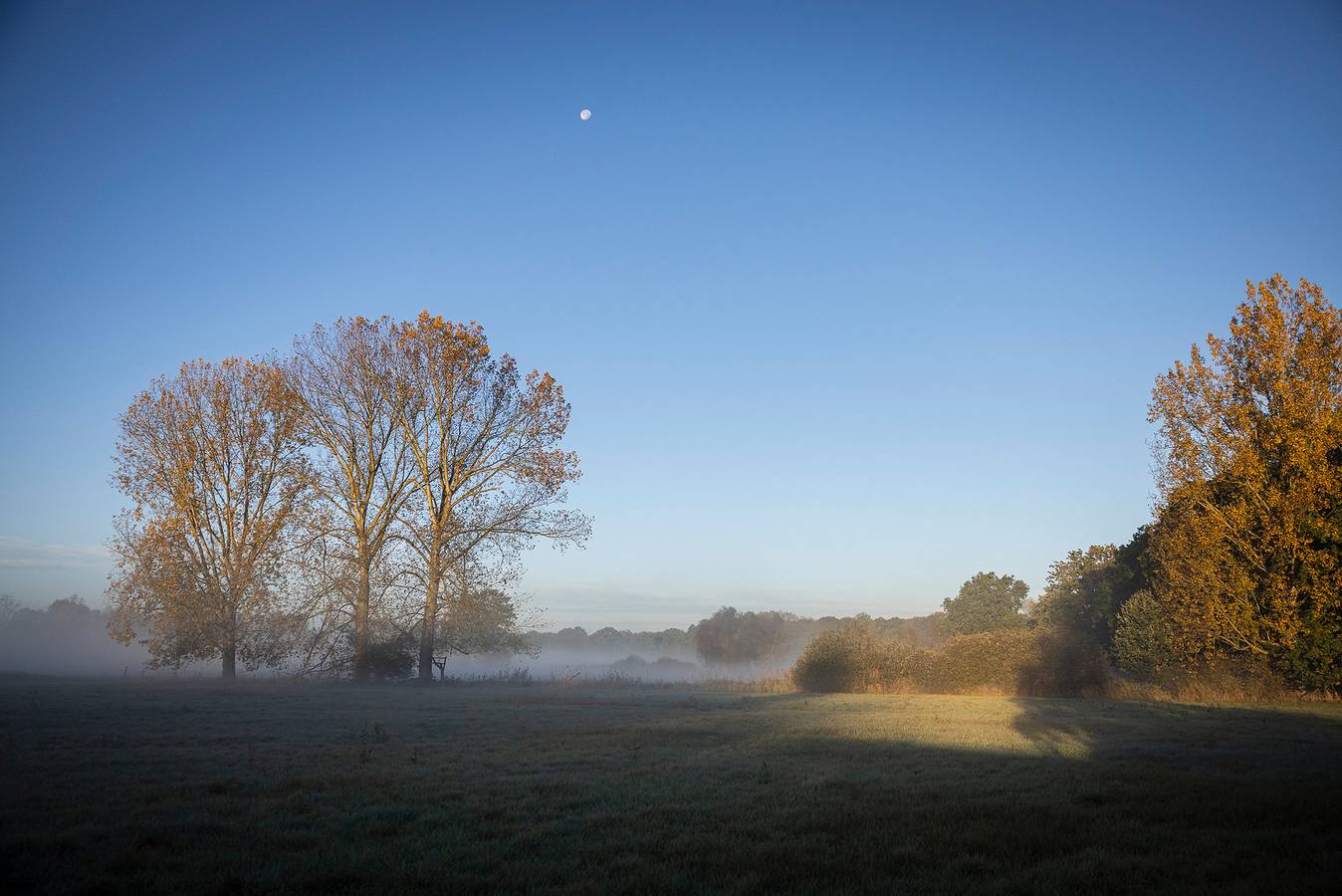 Elbo.Tinyhouse mit Wiesenblick in Bleckede, Mecklenburgisches Elbetal