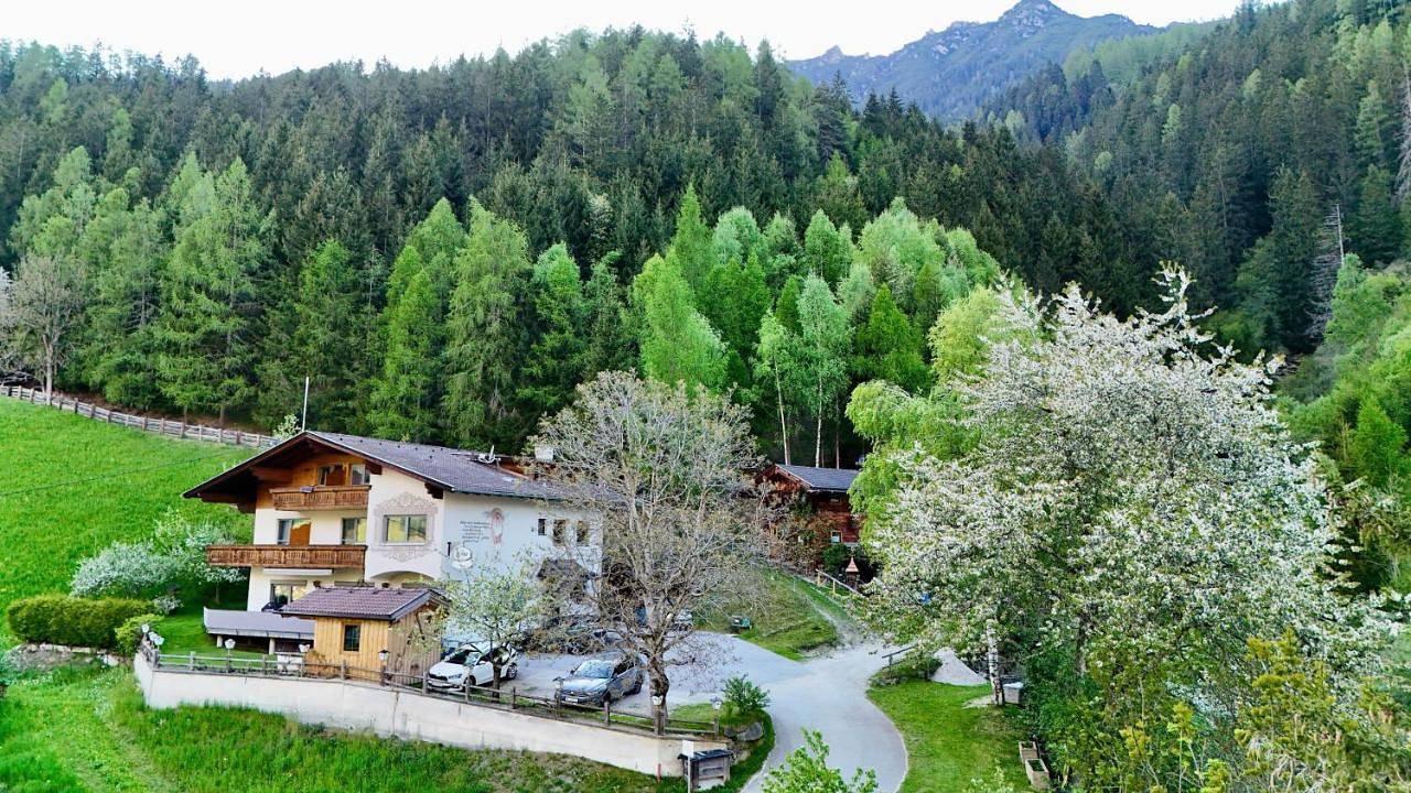 Pension Riese in Stubaier Alpen, Fulpmes