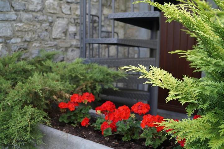 Gîte pour 4 personnes, avec terrasse et jardin, animaux acceptés dans Foy-Notre-Dame - 4