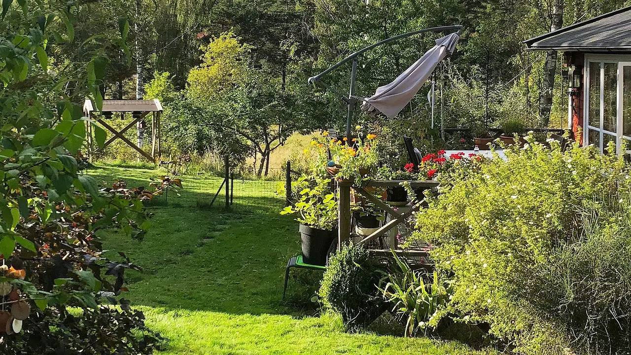 Ferienhaus für 6 Personen (67 m²) in Ornö in Stockholmer Schärengarten