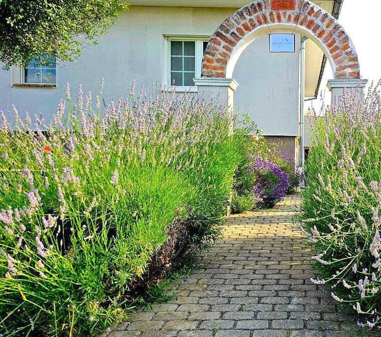 Dreamly Suites Oslip in Leithaberg