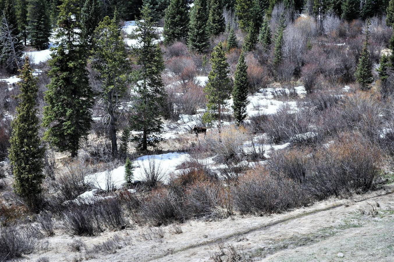Forest Park 3 bed 4 Bath Twnhm Htjm in Wildernest, Arapaho National Forest
