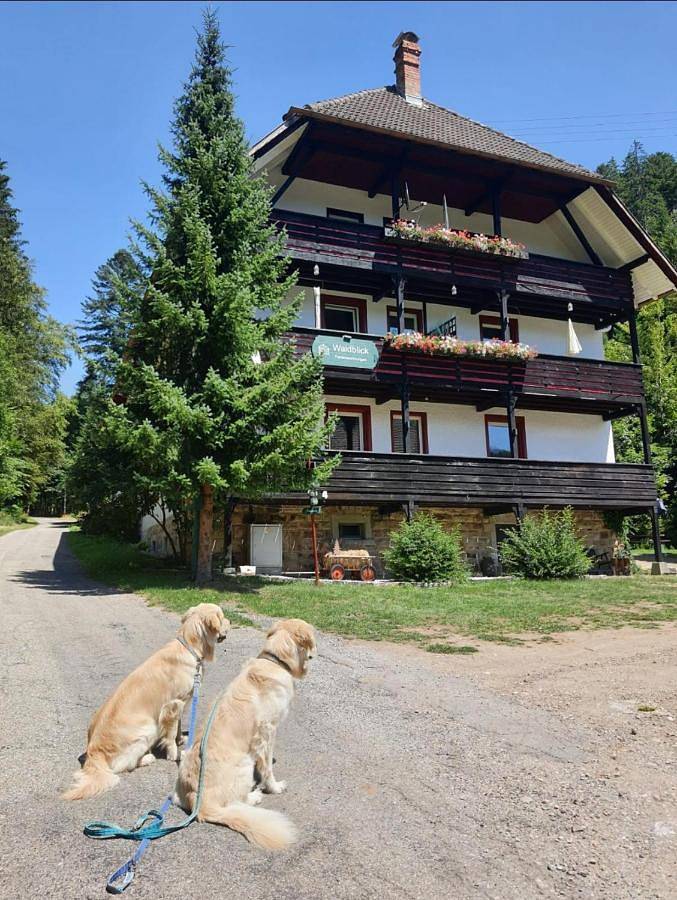 Ferienwohnung für 6 Personen, mit Balkon und Terrasse sowie Garten und Ausblick in Bonndorf im Schwarzwald