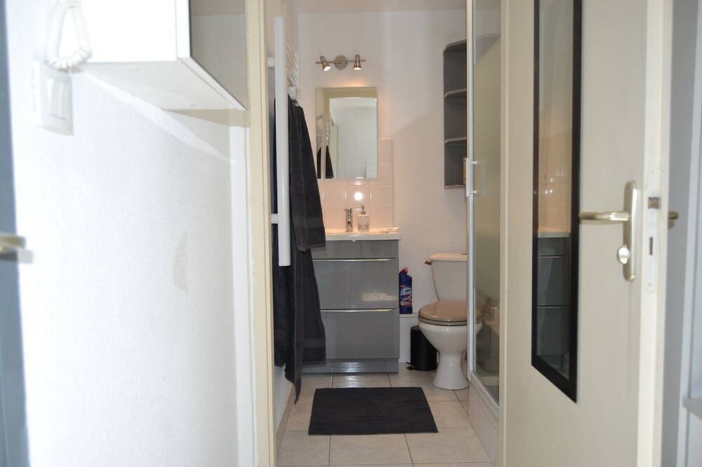 Appartement entier, Le petit studieux - Parking - Animaux acceptés - Centre ville accessible à pied in Albi, Région d'Albi