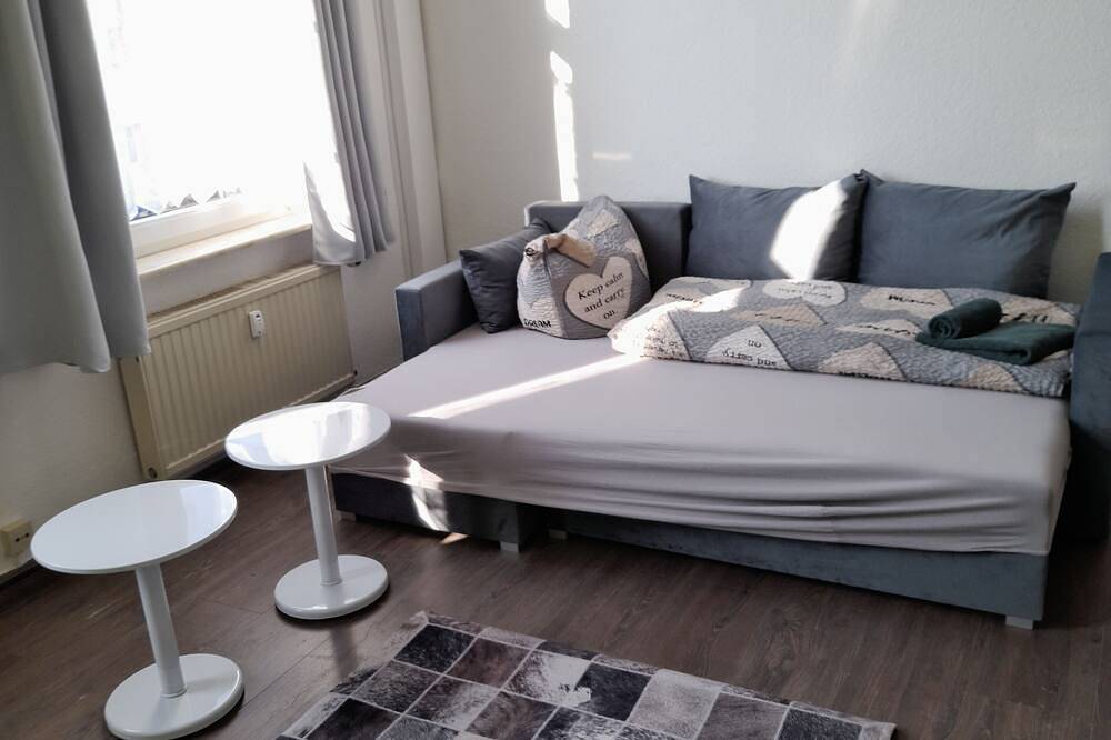 Ganze Wohnung, Wohnung mit 1 Sz in Zwickau, Chemnitz und Umgebung