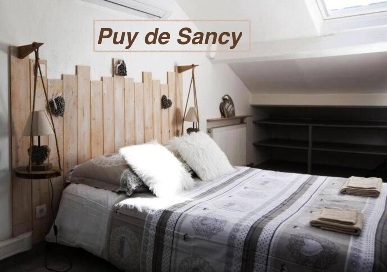 Appartement entier, Studio Apartment in Clermont-Ferrand, Parc naturel régional des Volcans d'Auvergne