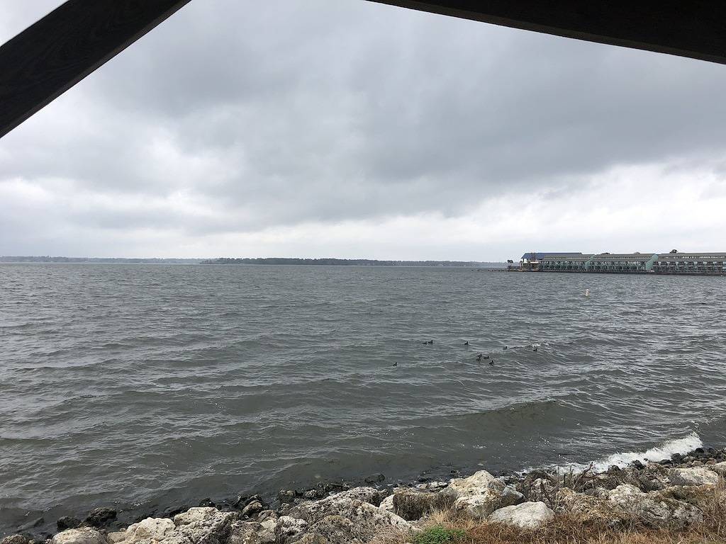 Ganze Wohnung, Frisch renoviert! Fischen, Trinken, Feiern, Auf dem Balkon über dem Wasser! in Lake Conroe