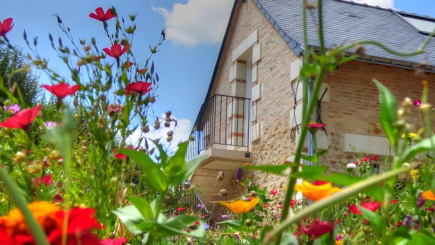 Chambre d’hôtes « La Suite Tilleul » avec terrasse et jardin communs, Wi-Fi in Vallée de la Loire