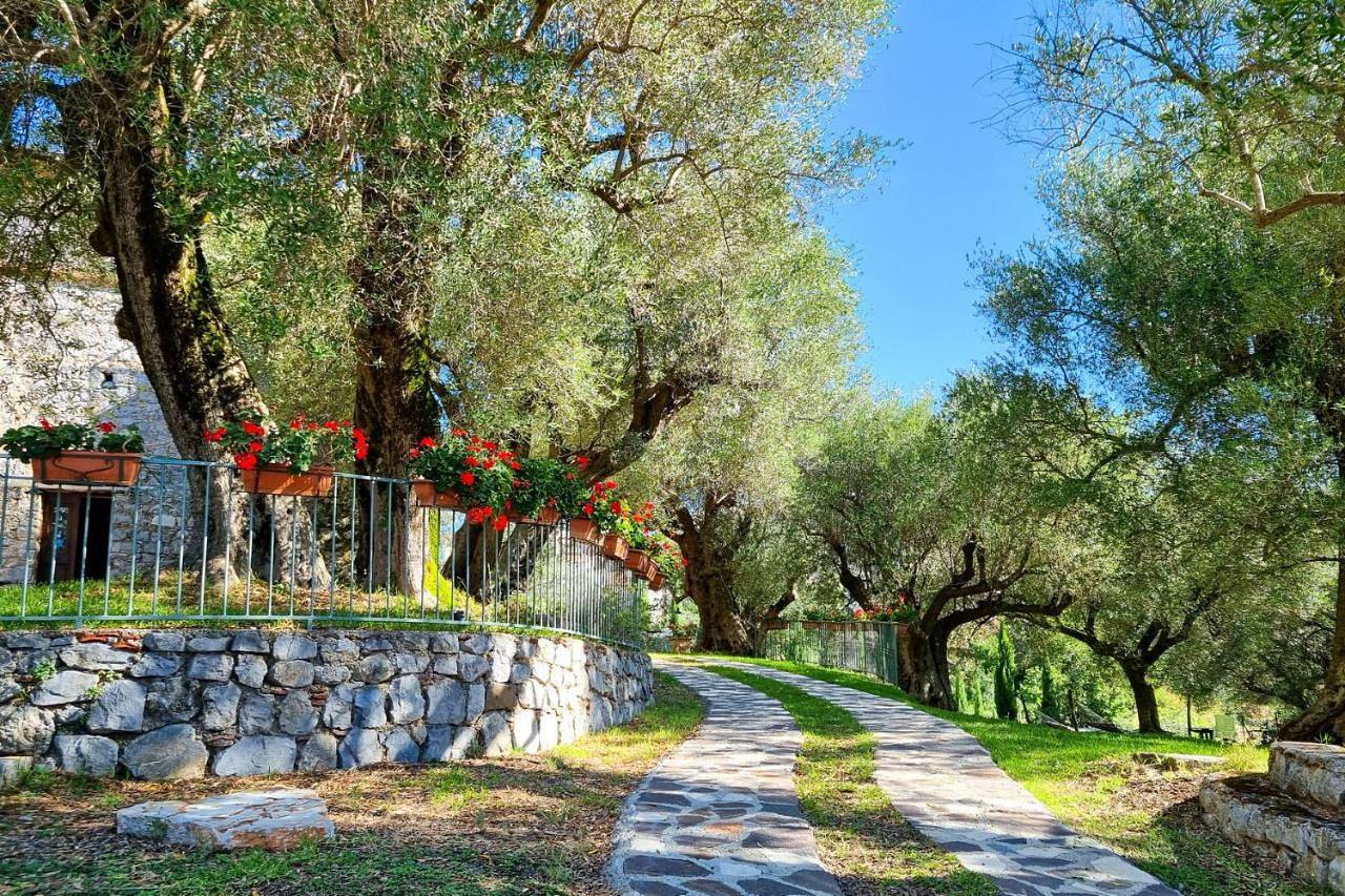 Economy Double Room in San Giovanni a Piro, Cilento Coast