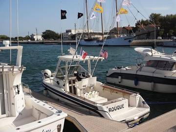 Gîte pour 4 personnes, avec terrasse à Port-Saint-Louis-du-Rhône