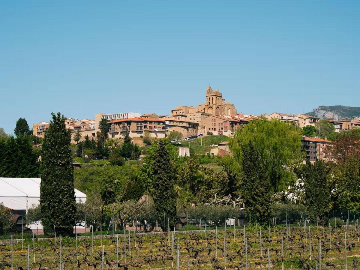 Casa de campo entre viñedos in Laguardia, Rioja Alavesa