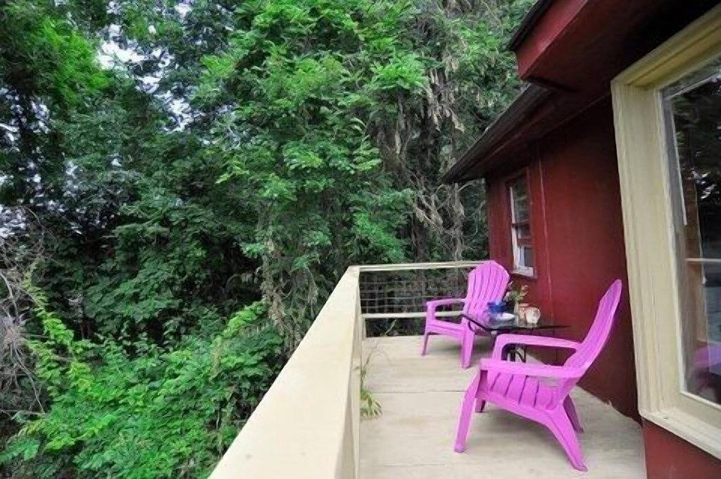 Süße Hütte im Wald, 10 min nach Ashvl. Ein gemütliches Artist Retreat mit schönem Garten in Stoney Knob, Buncombe County