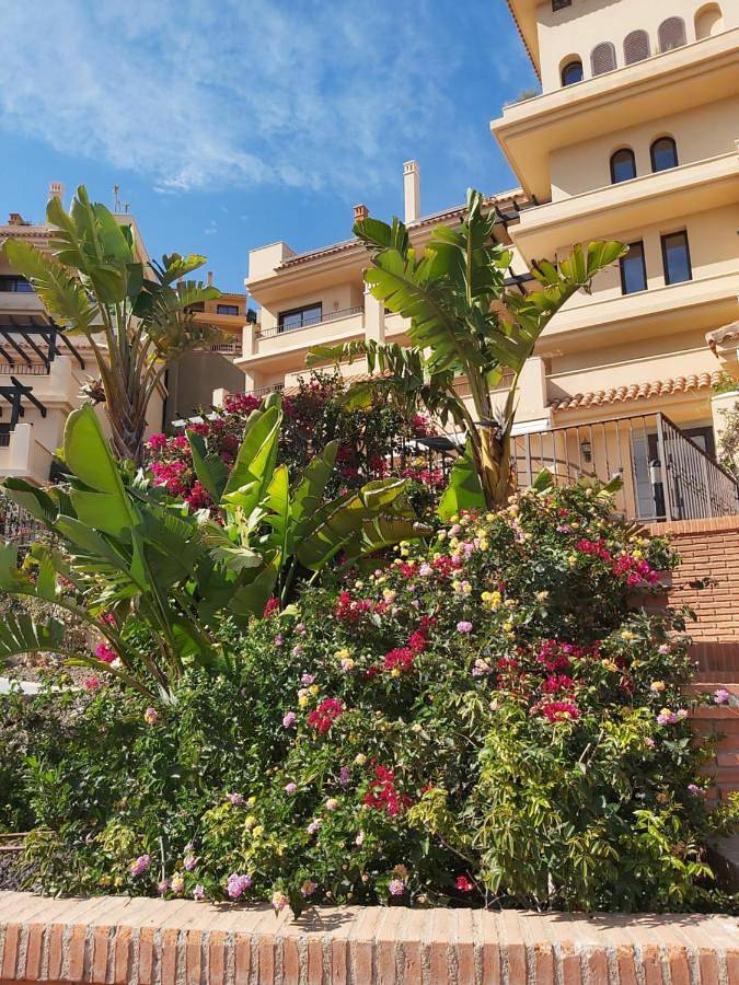 Gîte pour 4 personnes, avec piscine et balcon ainsi que vue et bassin pour enfant à Águilas - 3