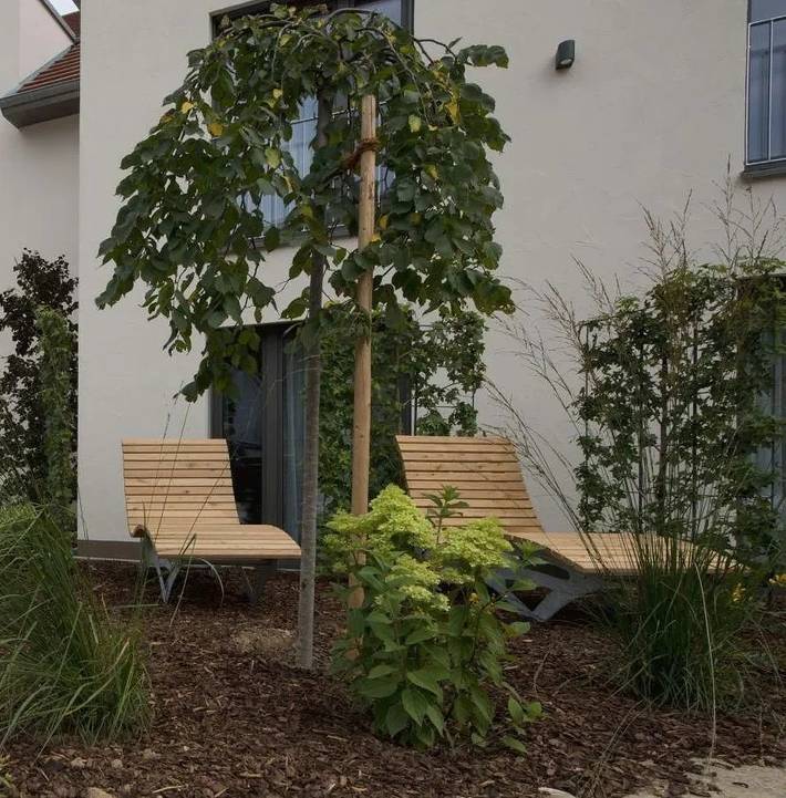 Hotel für 2 Personen, mit Garten in Ostalbkreis - 3