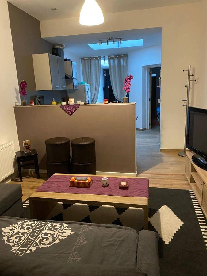 Gîte pour 7 personnes, avec Terrasse et Jardin dans Montignies Sur Sambre