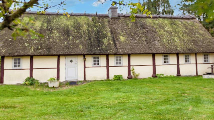 Ferieudlejning for 4 personer, med terrasse på Læsø