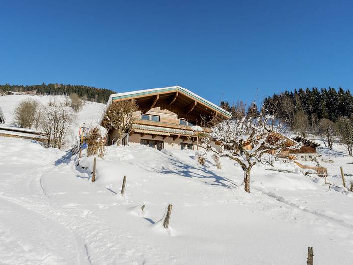 Ferienwohnung für 8 Personen, mit Balkon in Viehhofen