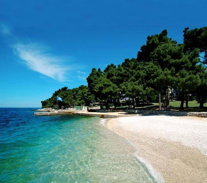 Double Room with Balcony and Sea View in Poreč, Grad Poreč