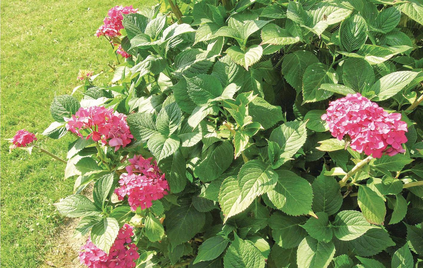 Ferienhaus für 6 Personen mit Garten in Kirke Hyllinge, Nordostseeland