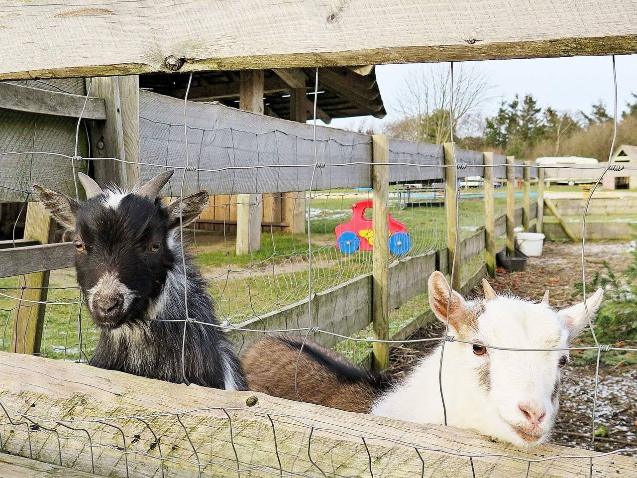 6 Personen Ferienhaus in Struer in Humlum, Struer