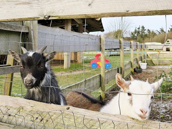 Ferienhaus für 6 Personen, mit Haustier - 1
