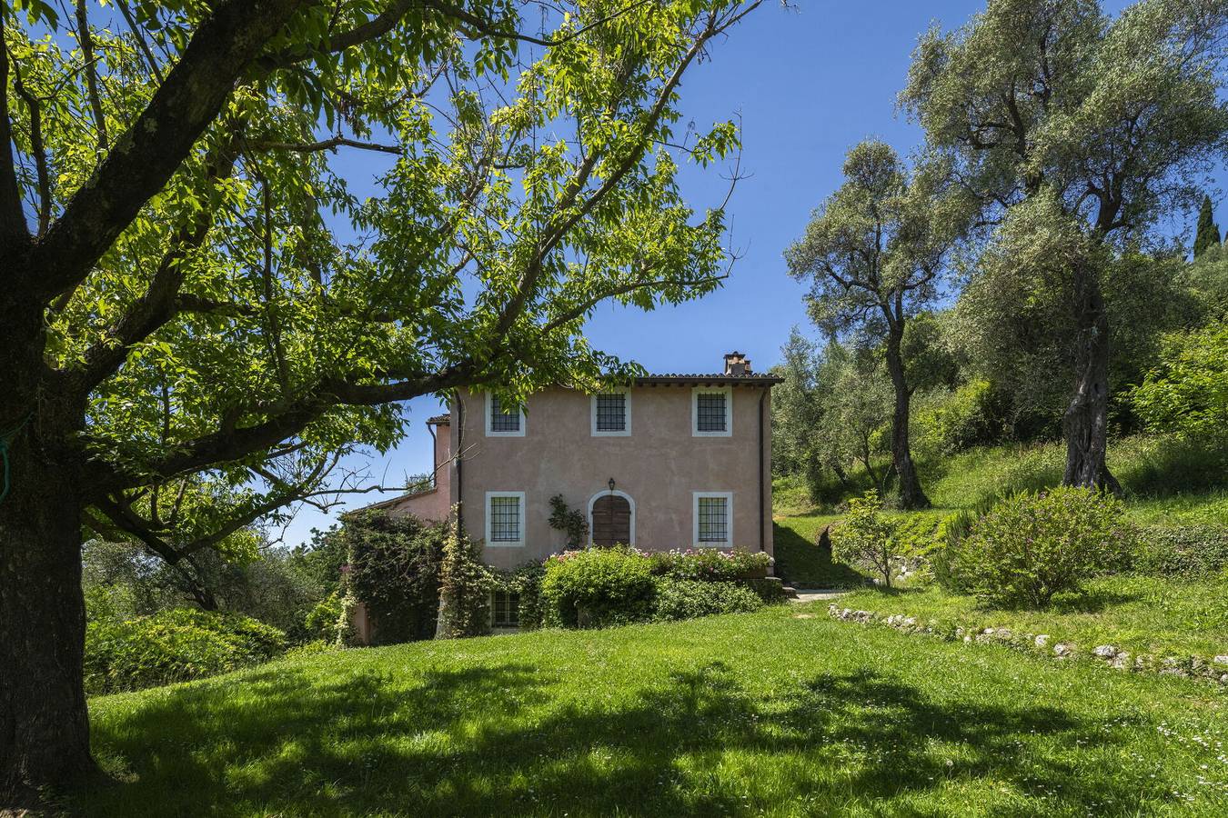 La Casa Dei Limoni, Camaiore, Pet Friendly, Wifi - Camaiore Holiday Home, Wifi, Pet Friendly, la Casa dei Limoni in Camaiore, Italiaanse Rivièra