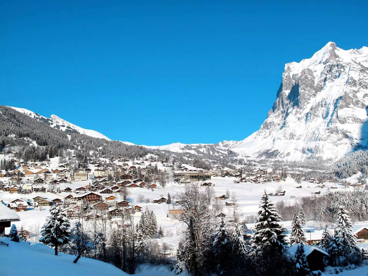 Appartamento intero, 2 Camere 2 Persone in Grindelwald, Circondario amministrativo di Interlaken-Oberhasli