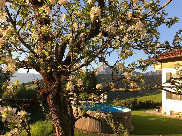 Ganze Ferienwohnung, Haus Freynend - Fewo 3 Alpentraum- 3 Personen, 50qm, 1 Schlafzimmer, Balkon, grandiose Aussicht in Anger, Bayerische Alpen