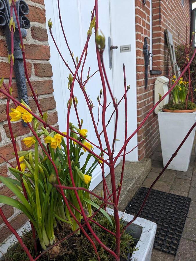 Holiday Home in Bordelum, Nordfriesland