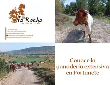 Casa rural para 3 personas, con terraza y vistas, Se admiten mascotas en Provincia de Teruel