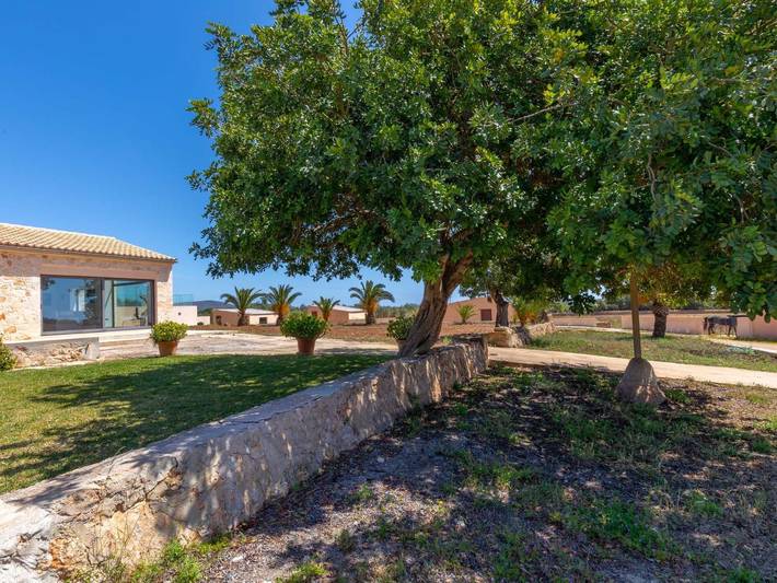 Salom Verd in Es Llombards, Santanyí