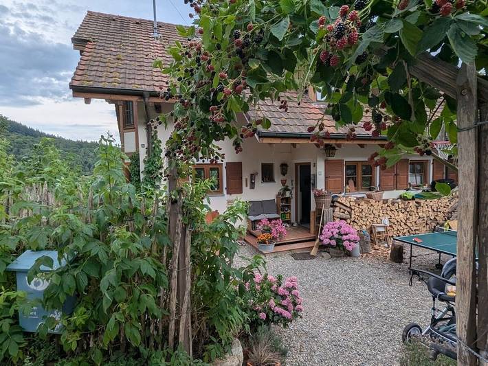 Ferienwohnung in Badenweiler mit Balkon in Lipburg, Badenweiler