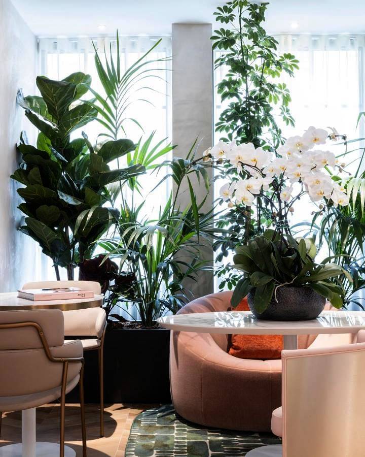 Hôtel pour 1 personne avec terrasse in Paris 12e Arrondissement, Paris