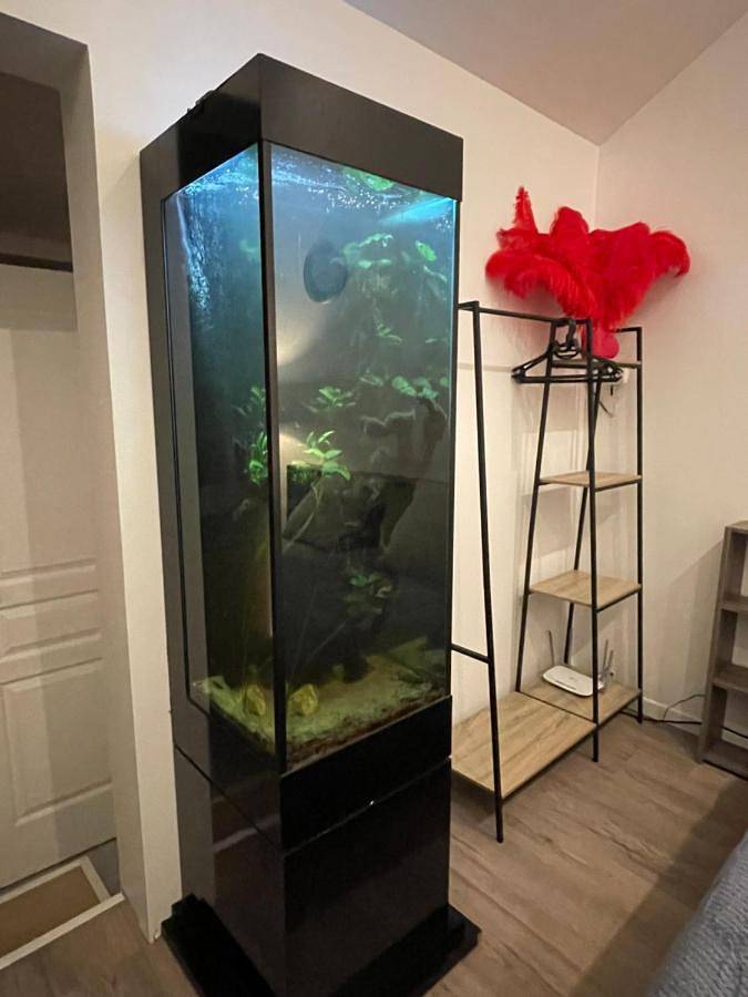 Gîte pour 2 personnes à Les Essarts-le-Roi - 4