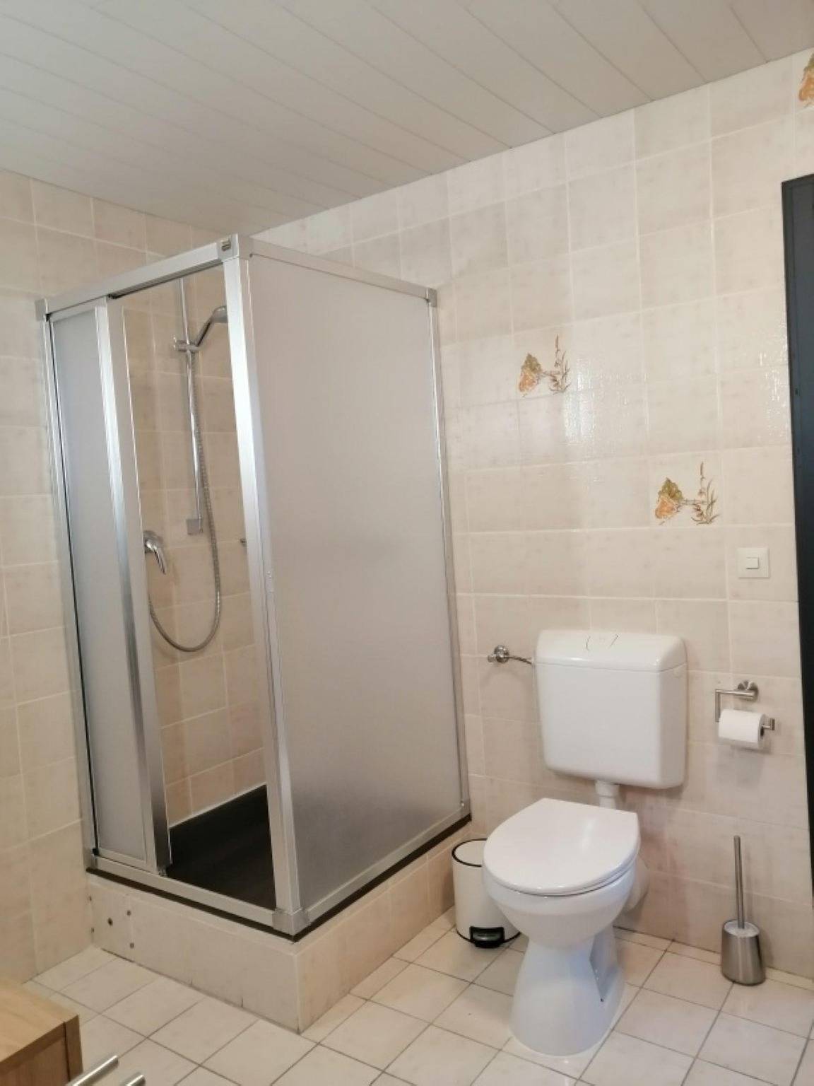 Ganze Ferienwohnung, Appartement/Fewo, Dusche oder Bad, Wc, 1 Schlafrau in Burg Eltz, Morshausen