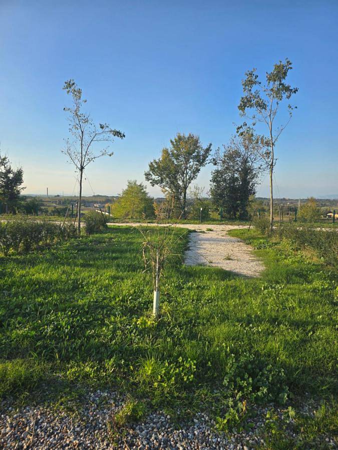 Agricampeggio Al Cielo Stellato in Valeggio sul Mincio, Verona Provinz