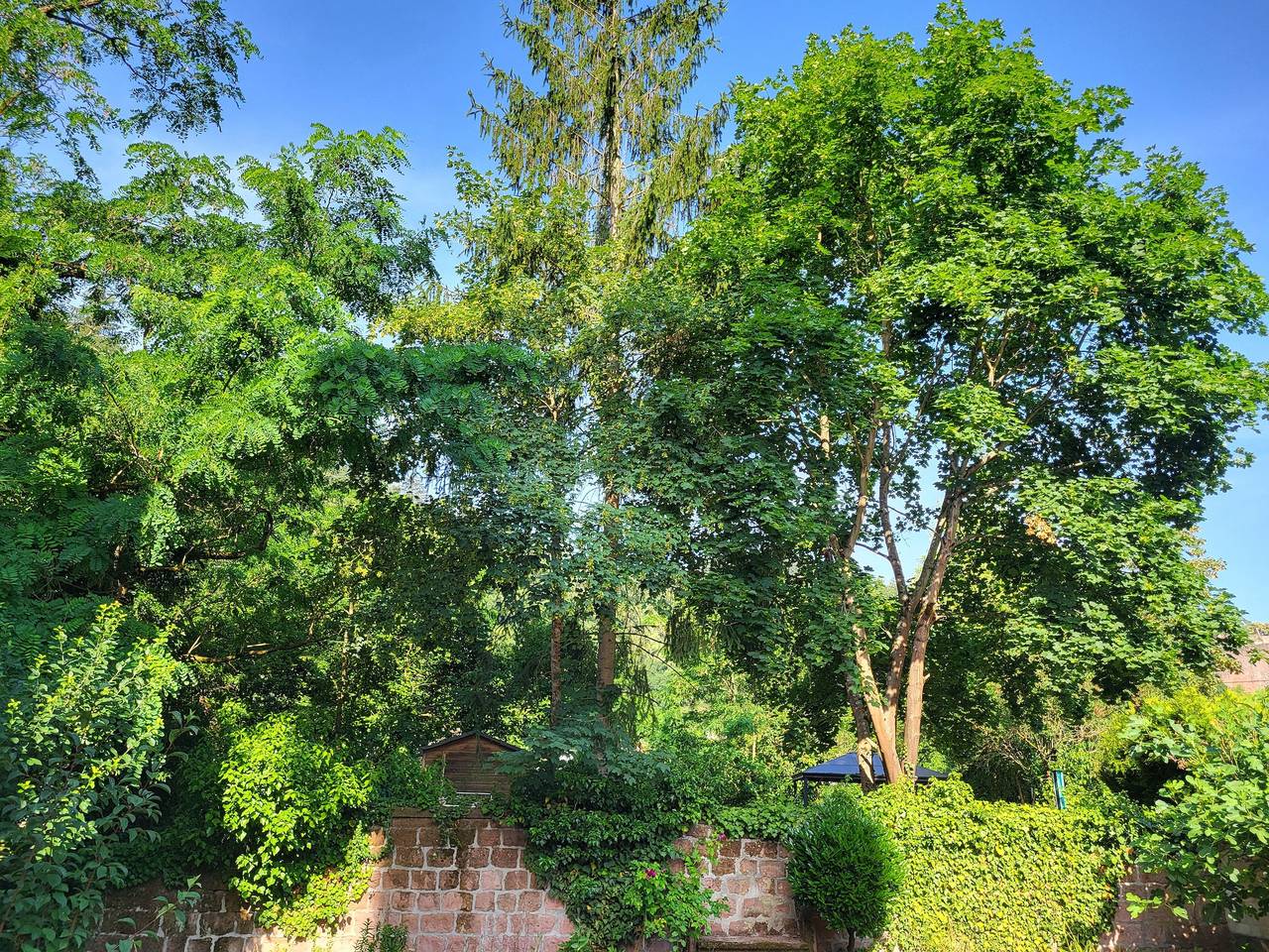 Ferienwohnung Isenach  in Bad Dürkheim, Saar-Nahe-Bergland