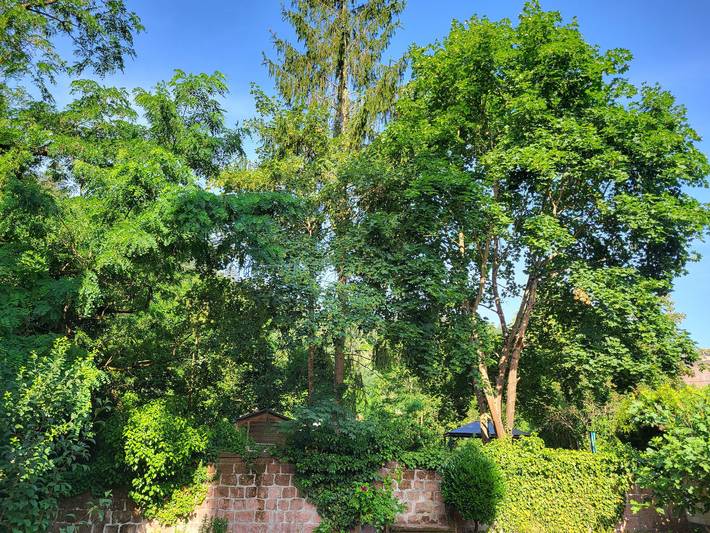 Ferienhaus für 2 Personen in Bad Dürkheim - 2
