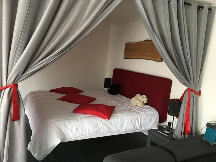 Location de vacances pour 4 personnes, avec jardin à Sélestat - 3