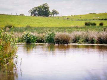 Holiday Rental for 7 People in Macefen, Cheshire, Photo 4